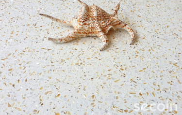 Gạch Terrazzo nội thất
