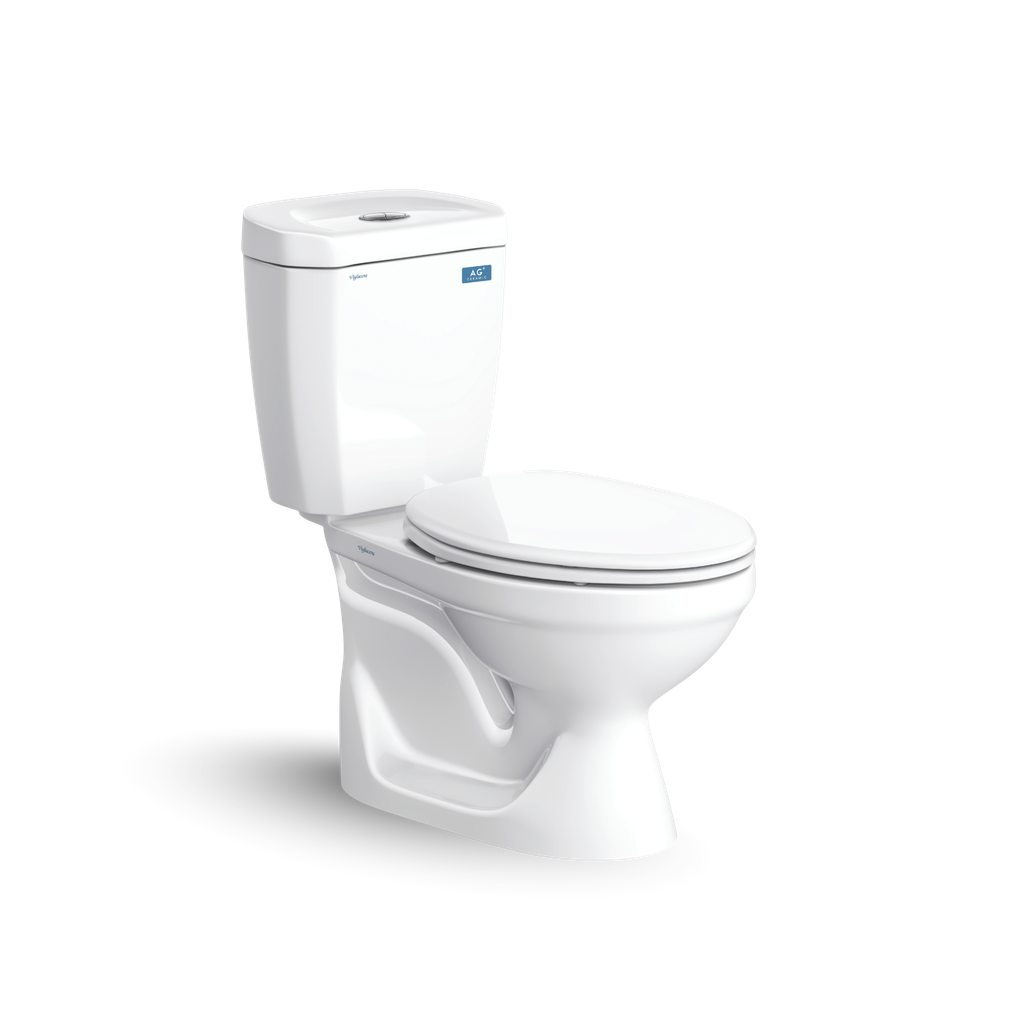 Bàn cầu hai khối VI88