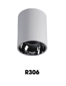 Đèn Led Lon trần gắn nổi R306