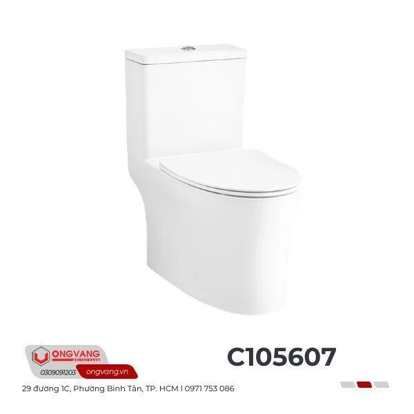 Thiết bị vệ sinh Cotto C105607